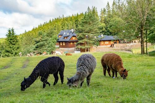 Agroturismo Statek U Rajmunda