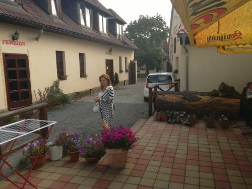 Posada Penzion Na J�zd�rn?