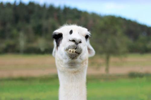 Hotel Resort Hul�n