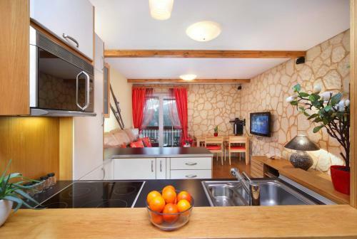 Apartment Dalibor ?pindler?v Ml�n