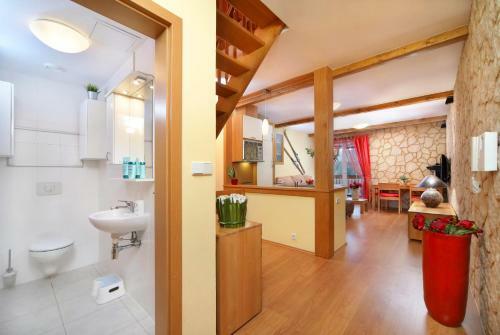 Apartment Dalibor ?pindler?v Ml�n