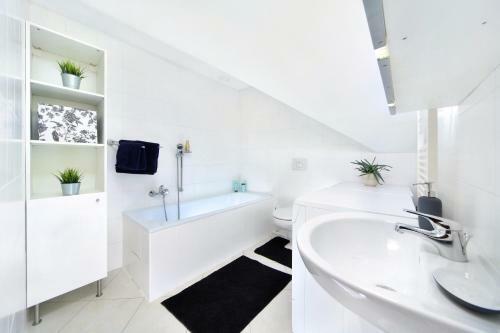 Apartment Dalibor ?pindler?v Ml�n