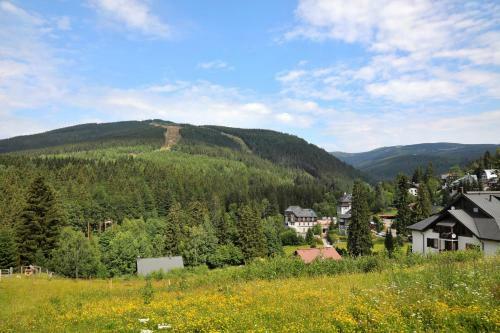 Apartment Dalibor ?pindler?v Ml�n