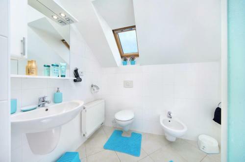 Apartment Dalibor ?pindler?v Ml�n