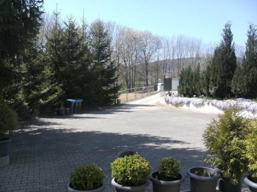 Apartamento Ferienwohnungen Trapp-mayer