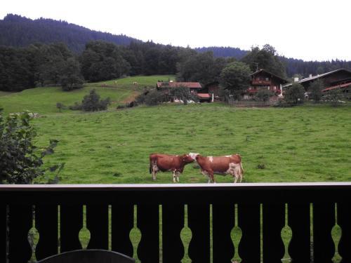 Apartamentos Ferienwohnung Karblick