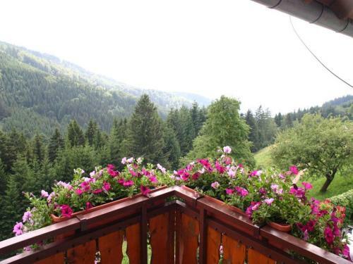 Apartamento Ferienwohnung Kaltwasserhof