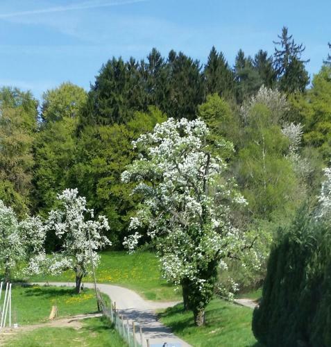 Apartamento Ferienwohnungen Beck