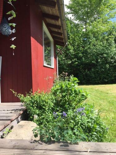 Schwedenhaeuschen-am-see-einfach-lagom