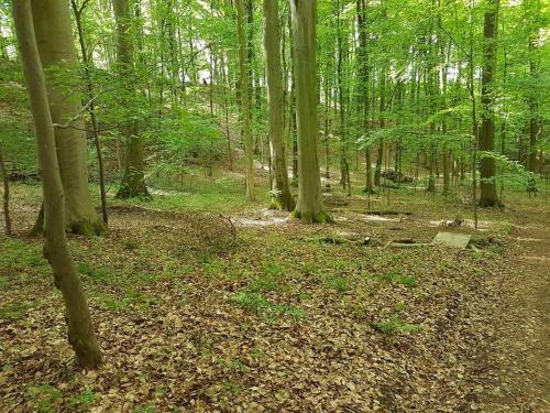 Apartamento Feriendomizil Bergamini