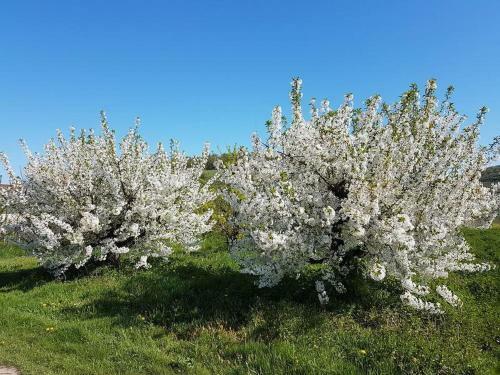 Apartamento Feriendomizil Bergamini