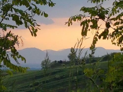 Apartamento Feriendomizil Bergamini