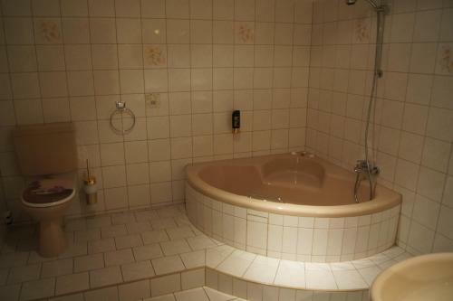 Hotel Draschwitz