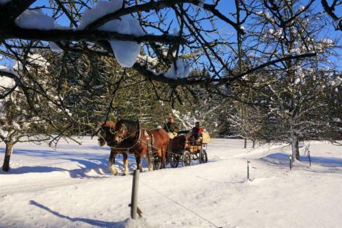 Agroturismo Bayerwald-ferienhof Schmid