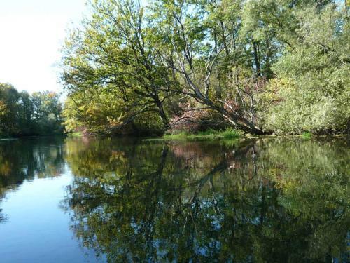 Apartamento Ferienwohnung Am Rebberg