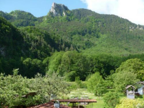 Apartamento Ferienwohnung Mondscheinwinkl