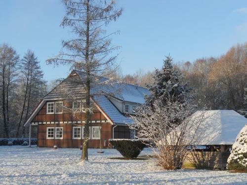 Seehotel K�llnitzer Hof