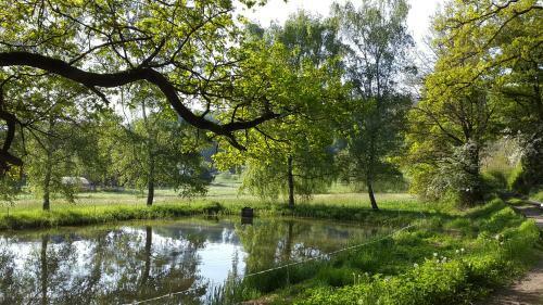 Hostal Zur Dorfsch�nke
