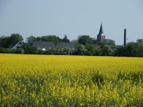 Bed & Breakfast Haus Rheinblick
