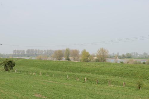 Bed & Breakfast Haus Rheinblick