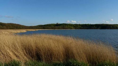 Apartamento Top Ferienwohnungen Binz