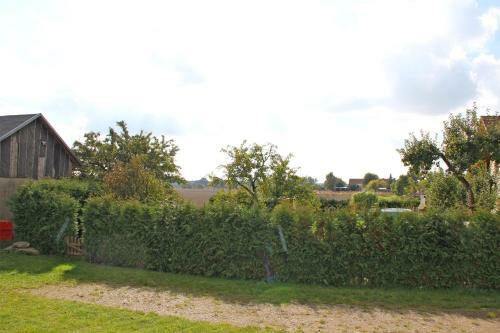 Ferienhaus Grabowhoefe See 7521