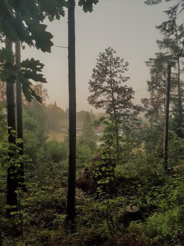 Landhotel "sumpfm�hle" Am Tharander Wald