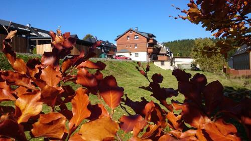 Apartamento Ferienwohnung Elisabeth
