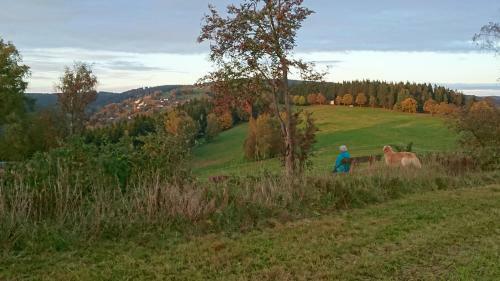 Apartamento Ferienwohnung Elisabeth