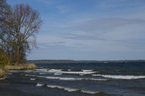 Apartamento Ferienhof Am Wittensee
