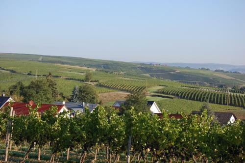 Hostal Heinrichs Winery Bed & Breakfast