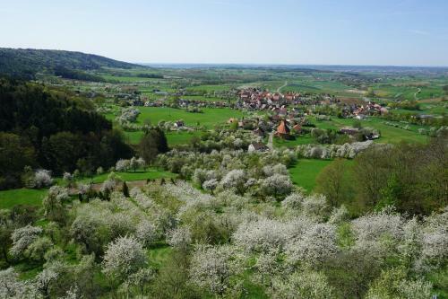 Berg-gasthof Hotzelein