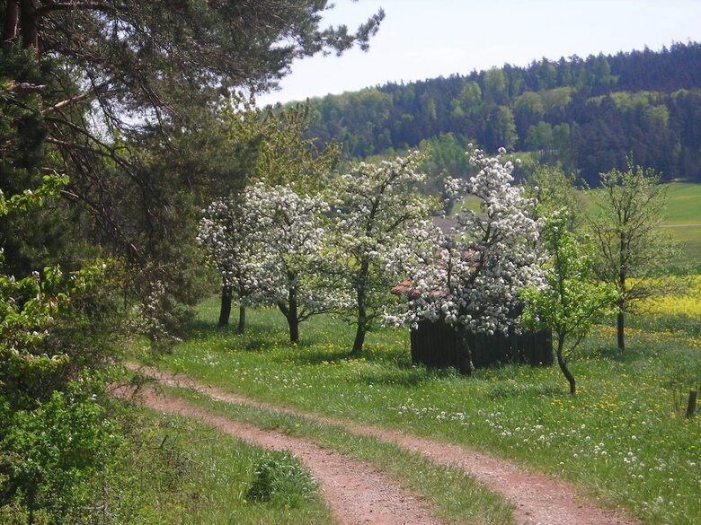 Hostal Pension "der Sulzbachhof"