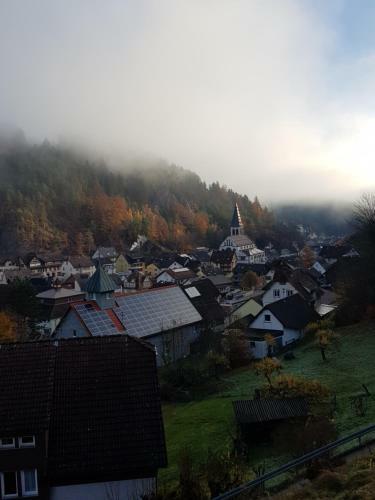 Hostal Gasthaus M�hlenstube
