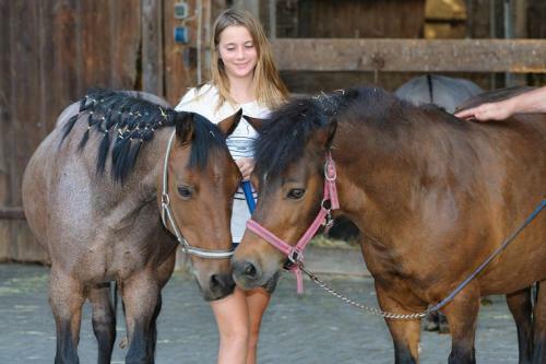 Agroturismo Urlaub Am Regen ? Ferienhof Dirnberger