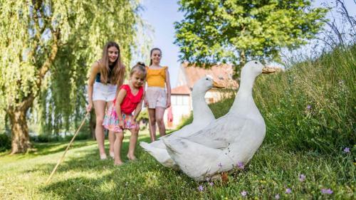 Agroturismo Urlaub Am Regen ? Ferienhof Dirnberger