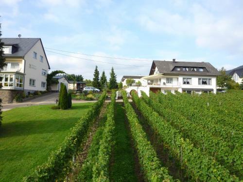 Hostal Ferienweingut-liebfried