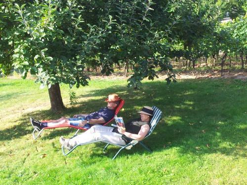 Hostal Ferienweingut-liebfried