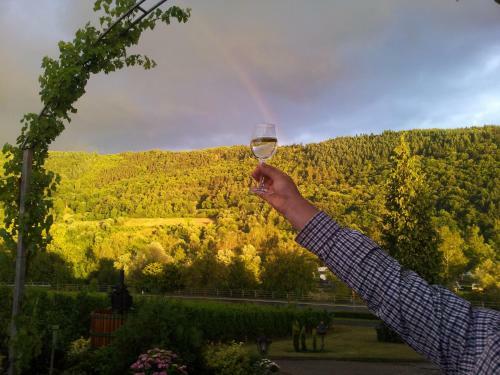 Hostal Ferienweingut-liebfried