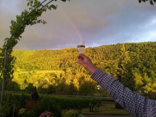 Hostal Ferienweingut-liebfried