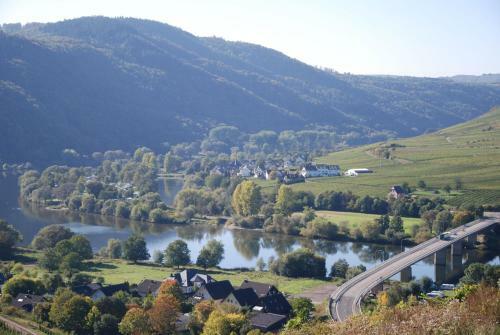 Hostal Ferienweingut-liebfried