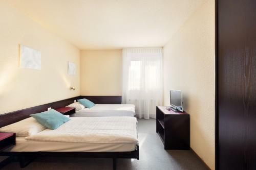 Hotel H�tel Des Mosaiques