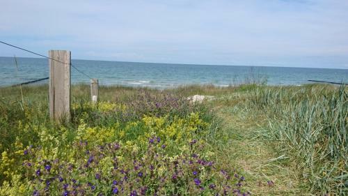 Apartamento S�derhaus Hiddensee