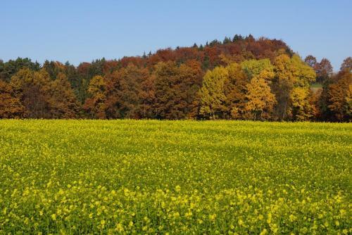 Apartamento Panoramablick H�llbachtal