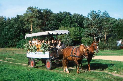 Hotel Im Ferienpark Retgendorf