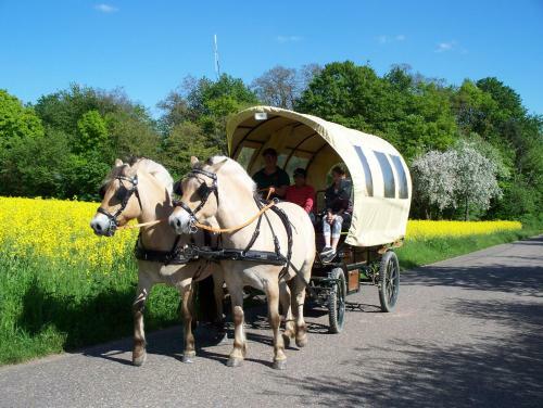 Hostal Pension Stern