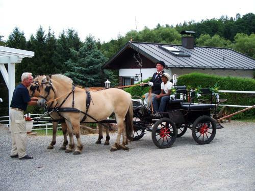 Hostal Pension Stern
