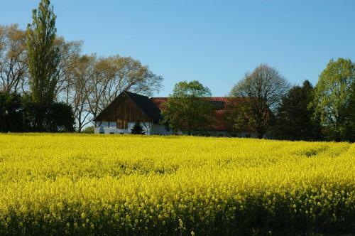 Apartamentos Holsteinhaus-zirmoisel