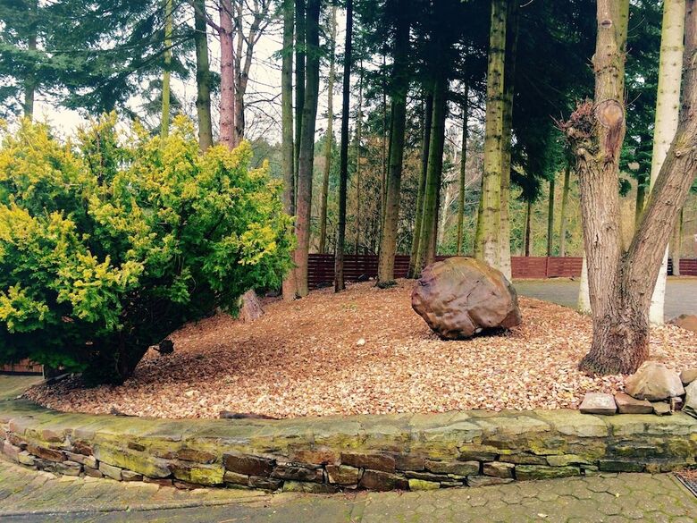 Waldhotel K�nig Von Rom