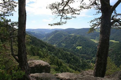 Apartamento Haus Am Waldrand